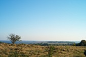 A view over Hiddensee looking south