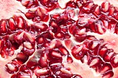 Pomegranate (detail)