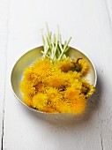 Dandelion flowers in metal dish