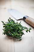 Fresh thyme and a knife on wooden surface