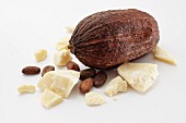 Kakaobutter und Kakaobohnen