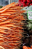 Viele Karotten auf dem Markt
