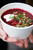 Beetroot soup with cranberries, sour cream, pumpkin seeds and dill