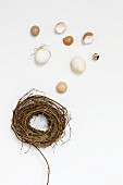 A wicker wreath, Easter eggs and eggshells on a white surface