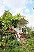 Romantic summer house with climber-covered porch and flowering hydrangea under a blue sky