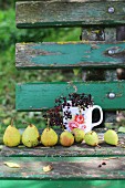 Row of pears and sprig of elderberries in mug on weathered wooden bench