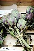 A bunch of artichokes in a wooden crate