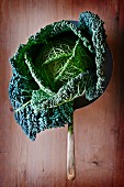 A savoy cabbage in a copper pan