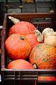 Pumpkins in a plastic crate