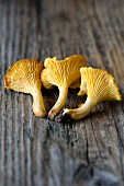 Three chanterelle mushrooms on a rustic wooden table