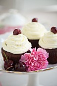 Black Forest Gateaux cupcakes