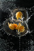 Physalis falling into water