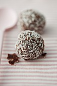 Chocolate pralines with coconut flakes