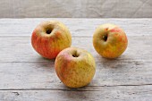 Three organic Kaiser Wilhelm apples on a wooden surface