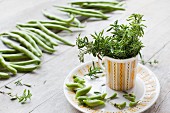 Organic savory in a vintage cup on a plate and organic beans on a wooden surface