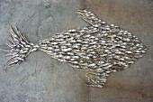 A fish shape of dried fish