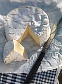 Sliced Camembert with a knife on a piece of paper