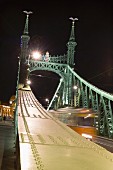 The Liberty Bridge with Turuls on the masts, Budapest, Hungary