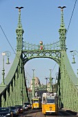 Die Freiheitsbrücke mit Turulvögeln auf den Brückentoren, Budapest, Ungarn
