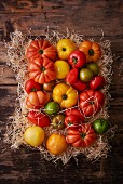 Various types of tomatoes on straw