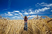 A happy boy in a wheat field, France