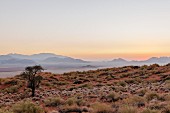 Wolwedans, NamibRand Nature Reserve, Namibia, Africa - 'Dune Camp' at sun rise