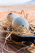 Wolwedans, NamibRand Nature Reserve, Namibia, Africa – decorative ostrich eggs