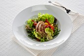 Grilled chicken salad