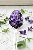 A spoonful of violets