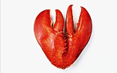 A heart made from lobster claws