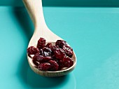 Dried cranberries on a wooden spoon