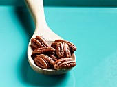 Pecan nuts on a wooden spoon