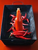 A bottle of chilli sauce and fresh chilli peppers
