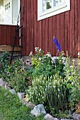 Flowerbed with stone edging outside wooden house painted Falu red