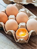 Sechs frische Bio-Eier im Eierkarton, eines aufgeschlagen