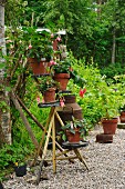 Terracotta pots on vintage plant stand and on gravel floor in garden