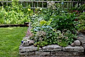 Raised bed with stone surround in summery garden