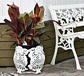 White-painted, cast iron garden bench and planter with foliage plant