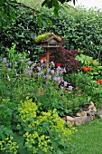 Bird table in flowering garden