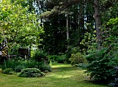 Rasenfläche zwischen Staudenbeet vor Terrasse und Walddickicht