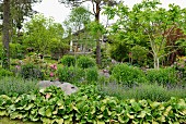 Rows of different plants in diversely planted landscaped garden