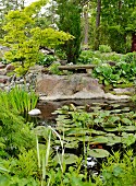 Water lily pond with stone bench on large boulder