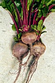 Three beetroots with leaves