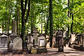 The cemetery in Pulsnitzer Strasse in Dresden - the oldest remaining Jewish cemetery in Saxony