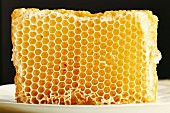 Honeycomb on a white plate