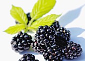 Blackberries