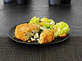 Breaded cheese and leek cakes with lettuce