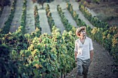 A winegrower in a vineyard (Cagliari, Sardinia, Italy)