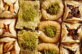 Various types of baklava on a porcelain plate