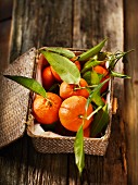 Clementines in a basket